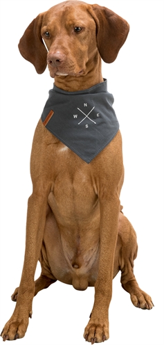 <span id="brand" data="trixie"/> Hond Bandana Be Nordic Windroos Grijs 50 cm – Katoen