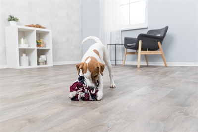 TRIXIE Snuffelbal voor Honden 15×15×15 cm – Activiteitsspielgoed