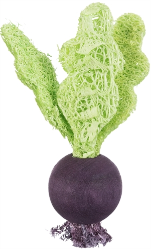 TRIXIE Speelbal Set Hout Loofah Biet/Aardbei 6×9 cm – Natuurlijke Speelgoed