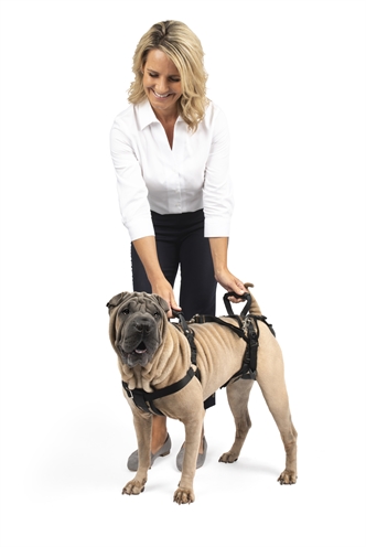 SOLVIT Hondenharnas PETSAFE CARELIFT VOOR EN ACHTER Medium – Comfortabel