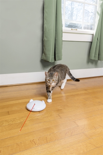 PETSAFE kattenspeelgoed PETSAFE ZIP – laser met automatische uitschakeling
