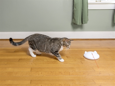 PETSAFE kattenspeelgoed PETSAFE ZIP – laser met automatische uitschakeling