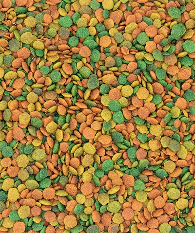 NUTRIBIRD hondenvoeder G14 Tropical 1 kg – Onderhoudsvoeder voor grote parkieten