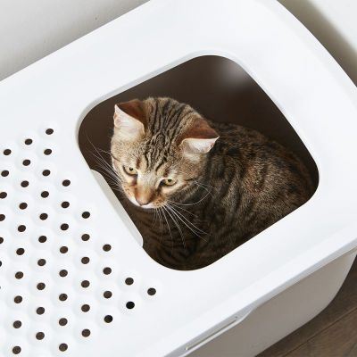 SAVIC Kattenbak Hop In Antraciet/Wit 58,5×39×39,5 cm – Moderne design