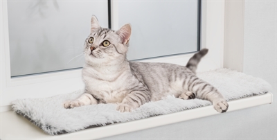 TRIXIE Ligmat Harvey 38×33 cm – Wit/Zwart voor Ikea Kallax