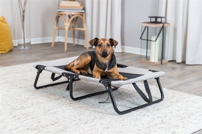 TRIXIE Hondenligbed Stretcher - Inklapbaar, mesh voor verkoeling, wasbare hoes - Grijs/Zwart - 79x50x19 cm