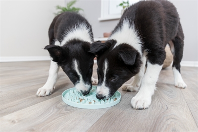 TRIXIE Likplaat Junior Kalmerend en invriesbaar - Mintgroen - 21x21 cm