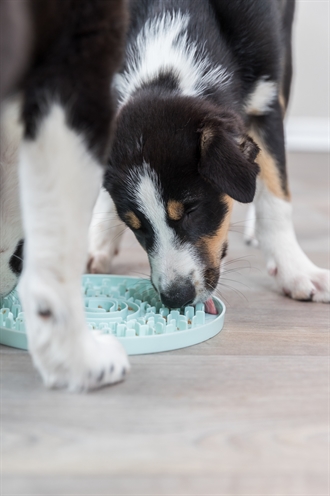 TRIXIE Likplaat Junior Kalmerend en invriesbaar - Mintgroen - 21x21 cm