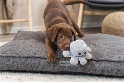 TRIXIE Hondenknuffel Octopus Omkeerbaar Pluche 19 cm – Grijs/Geel