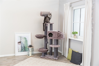 TRIXIE Krabpaal XXL Andres Cappuccino 70×48×190 cm – Robuuste kat meubilair