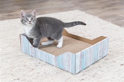 TRIXIE Krabmand Karton Catnip 45×33×12 cm – Turquoise
