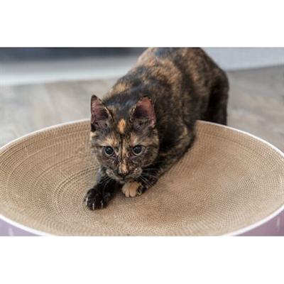 TRIXIE Krabmand Lilly Karton Catnip Lichtgrijs Ø45 cm – 45×10 cm