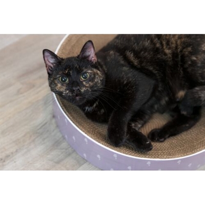 TRIXIE Krabmand Lilly Karton Catnip Lichtgrijs Ø45 cm – 45×10 cm
