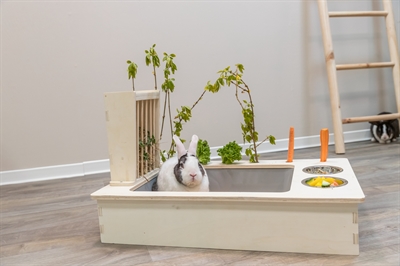 TRIXIE Voederstation Hout Natuur 70×47×41 cm – Voor Konijnen & Knaagdieren