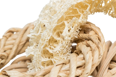 TRIXIE Knaagspeelgoed Luffaring met rotan & maïsblad - 100% natuurlijk - 13 cm