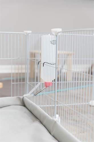 TRIXIE Indoorren voor Knaagdieren 140×70×35 cm – Wit