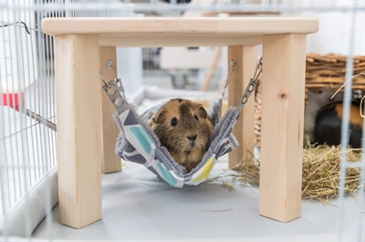 TRIXIE Schuilhuisje voor Knaagdieren Sunny 28×28×24 cm – Grijs