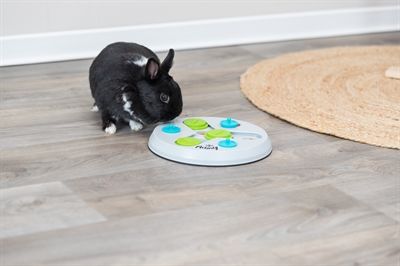 TRIXIE Slide & Fun Board Kunststof 23×23 cm – Intelligentiespel voor Knaagdieren