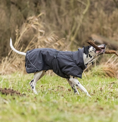 TRIXIE Hondenjas Calvi - Wind- & waterdicht, licht gewatteerd - Zwart - S (40 cm)