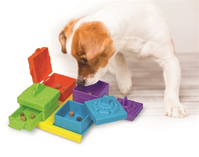 BRIGHTKINS Hondenpuzzel BRIGHTKINS SURPRISE PARTY TREAT 18,8×10,2 cm – Behandigbaarheid