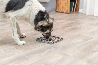TRIXIE Lick'n'Snack likmat siliconen Anti-verveling, slipvast & vriesvast - lichtgrijs - 20x20 cm