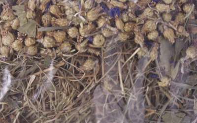 EXCELLENT Kruidenhooi Korenbloem en Berkenblad 500 gr – met kruiden