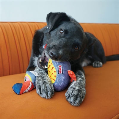 KONG Hondenspeelgoed Ballistic Vibez Vogel 25,5×11×32,5 cm – Assorti