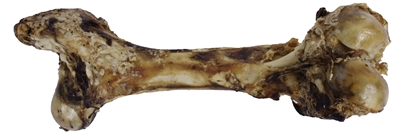 PETSNACK Kausnack Dinobot XXL - 100% Rindfleisch, mit Fleischstücken