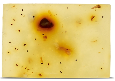 BELOVED Vegan Hondenshampoo Bar 110 gr – Natuur & Huidverzorging