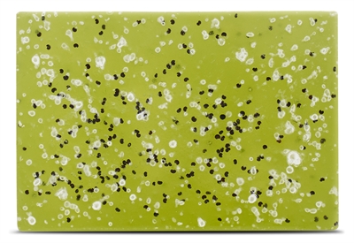 BELOVED Hondenshampoo Bar Bugfree 110 gr – Natuurlijke Citronella