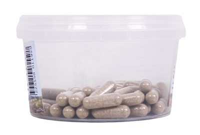 Dierendrogist Echinacea Bio Capsules 50 st – Ontstekingsremmer voor Huisdieren