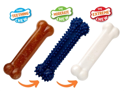 Nylabone Puppy Chew Starterkit Chicken <11 kg – 3 Kluifjes