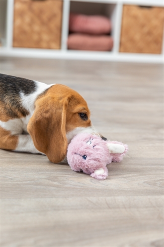TRIXIE Pluche Hondenspeeltje Haas 27 cm – Met TPR Ring voor Puppy