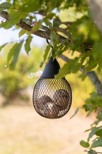 TRIXIE Voerdispenser Mezenbollen Pinda's 29×14×14 cm - Zwart