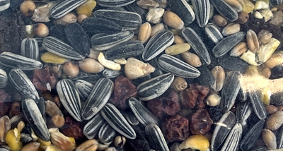 UTOPIA Vinkenmix 2,1 KG – 100% Natuurlijk Voer voor Vinken