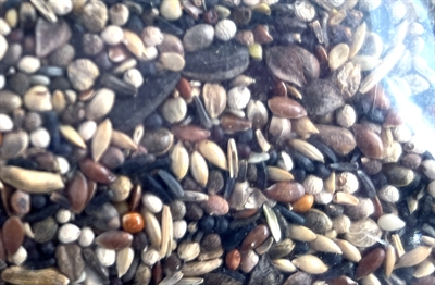 UTOPIA Goudvinkenmix 2,1 KG – Natuurlijk strooivoer voor goudvinken