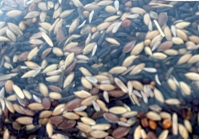 UTOPIA Stieglitze und Zeisige Mix 2,1 kg - 100% Naturfutter