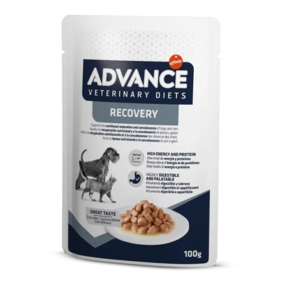 ADVANCE VETERINARY DIET Dieetvoer Recovery Herstel - Hoog energiegehalte & goed verteerbaar voor hond & kat - 11x100 g