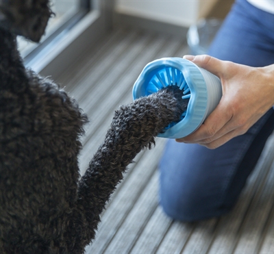 TRIXIE Pootreiniger Silicone/PP - met siliconen borstels voor vuilverwijdering, masseert | Vaatwasserbestendig - Blauw - 15 cm (M/L)