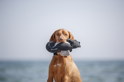 TRIXIE Hondenspeelgoed Zeepaard Ida 32 cm - Stof/Pluche 2 st