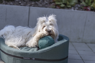 TRIXIE Hondenspeelgoed Bal Met Touw Gerecycled 14×34 cm – 2 Stuks