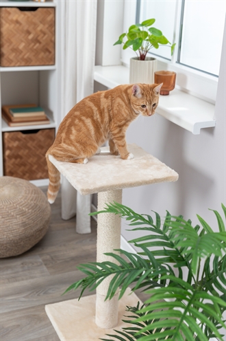 TRIXIE Krabpaal Baena 69×38 cm – Beige