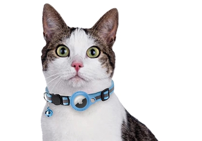 CROCI Kattenhalsband Lichtblauw 19-26×1,5 cm – Met Tag Houder