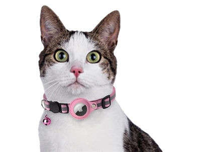 CROCI Hondenhalsband Kat Met Tag Houder Roze 19×2 cm – 19-26X1,5 CM
