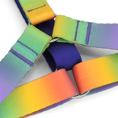 MORSO Hondentuig H-Tuig Spring Blossom - Gerecycled PET, zacht & 5x verstelbaar - 60-80x2,5 cm