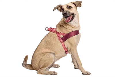 MORSO Hondentuig Norwegian Gerecycled PET & neopreen borststuk - Pink/Roze - 39-48x35 cm