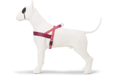 MORSO Hondentuig Norwegian Gerecycled PET & neopreen borststuk - Pink/Roze - 39-48x35 cm