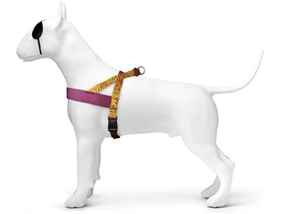 MORSO Hondentuig Norwegian Jungle Drum Gerecycled PET - Oranje - 39-48x35 cm