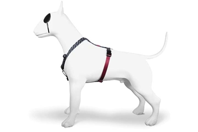 MORSO Hondentuig H-Tuig Gerecycled Power Flow Zwart 40-55×1,5 cm