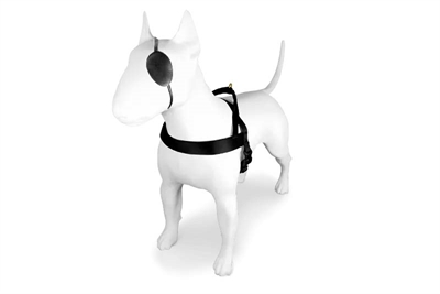 MORSO Hondentuig Norwegian Gerecycled Gold Caviar 69-86×63 cm – Goud